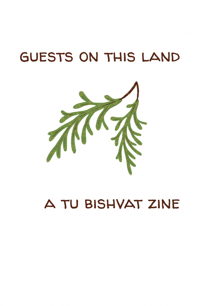 The cover of "Guests on this land